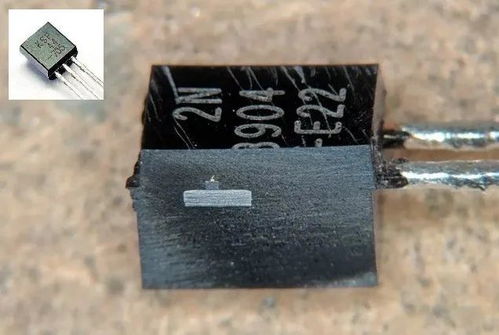 天天都在用電子元器件,里面長(zhǎng)什么樣想看看嗎